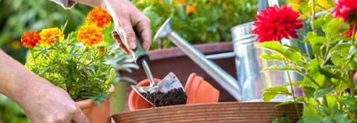 Person befüllt einen Topf mit Erde